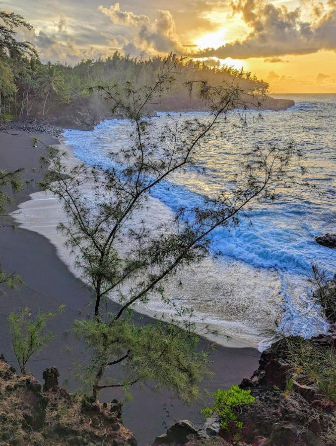 Bed and Breakfast Kehena Mauka Nui Club Lgbtqia+ Clothing Optional à Pahoa Extérieur photo