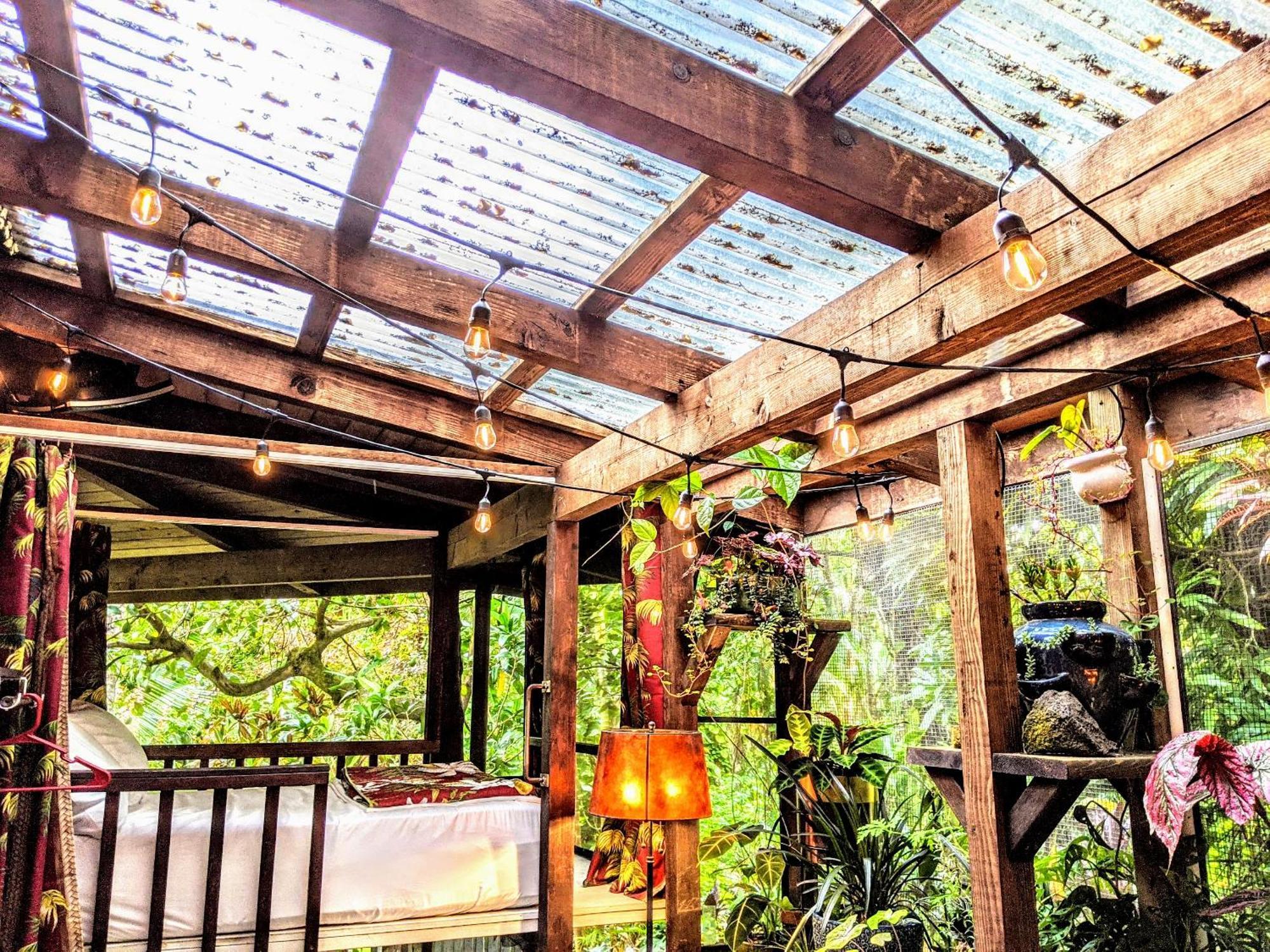 Bed and Breakfast Kehena Mauka Nui Club Lgbtqia+ Clothing Optional à Pahoa Chambre photo