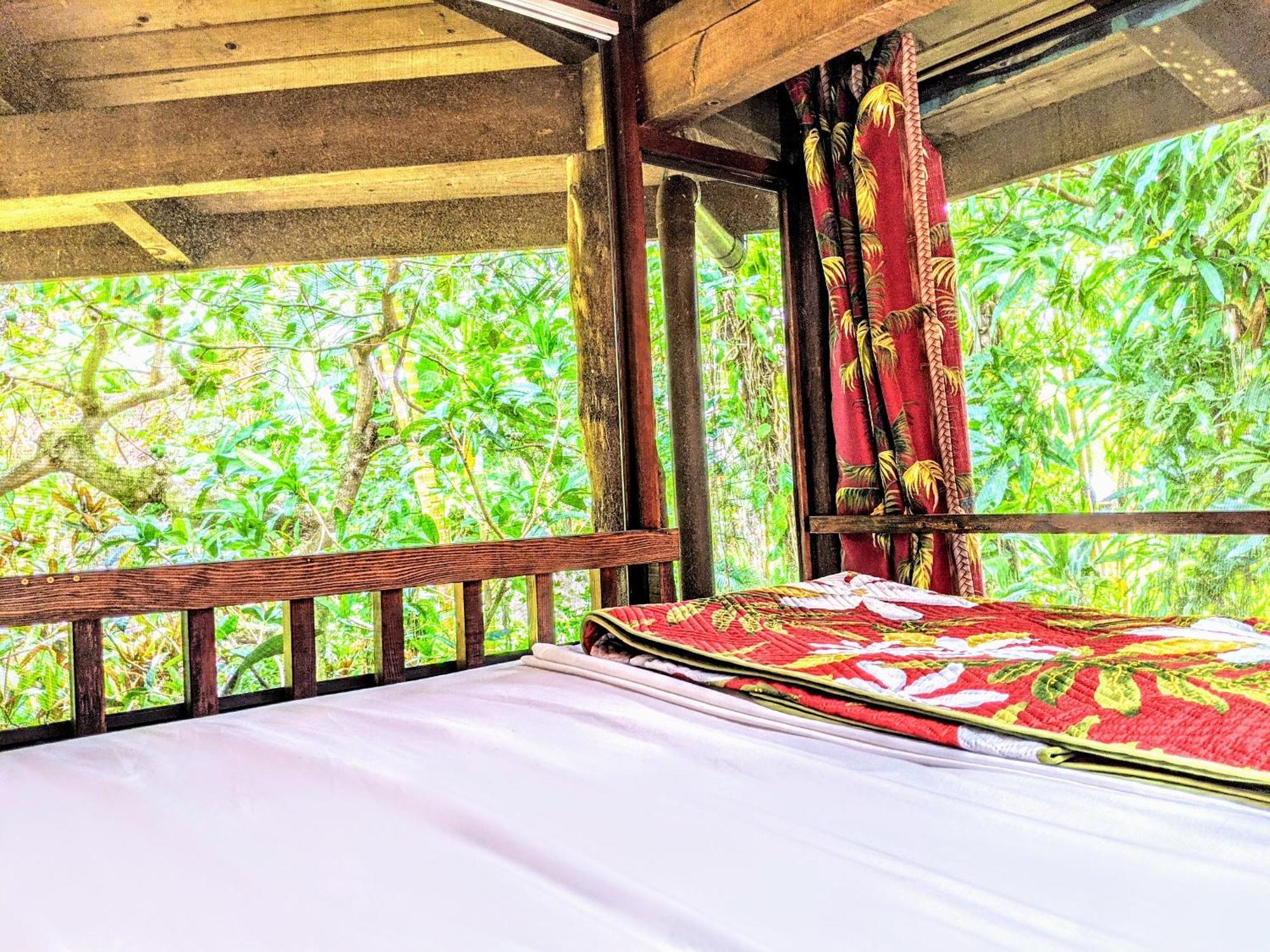 Bed and Breakfast Kehena Mauka Nui Club Lgbtqia+ Clothing Optional à Pahoa Chambre photo